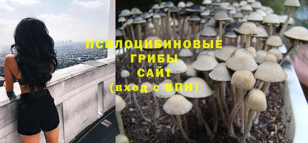 прущая мука Алзамай
