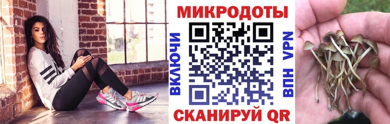 МЕГА маркетплейс  Югорск  Псилоцибиновые грибы прущие грибы  дарк нет наркотические препараты  где найти  